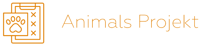 Animals Projekt